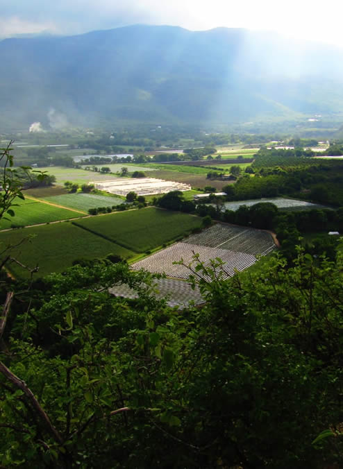 Taller 1 de ecotonos Conca